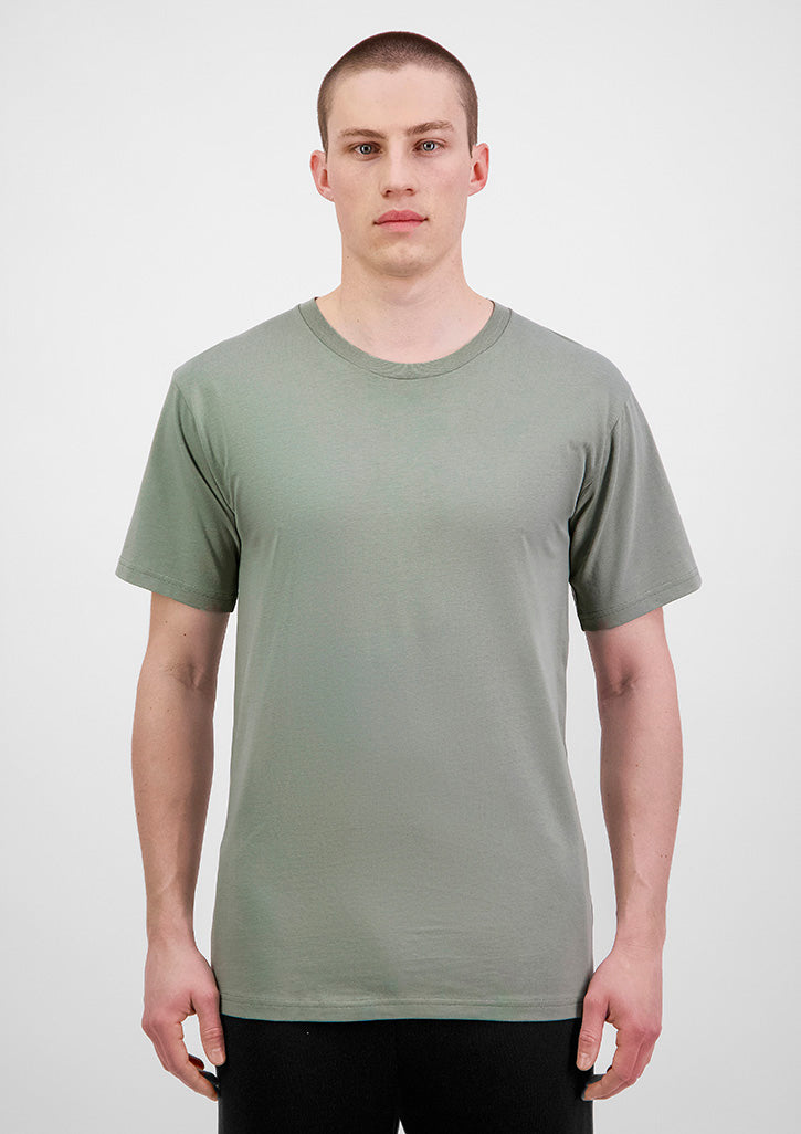 Basis Mens Short Sleeve Tee - Pistachio